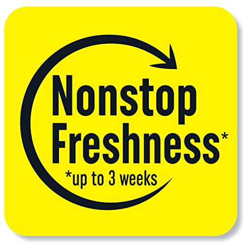 Renuzit Seasonal Gel Air Freshener, Gingerbread Joy, 12 Count Total Air Fresheners #TOP6