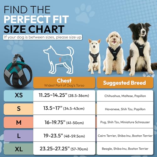 Image of Gooby Soft Mesh X Step in Dog Harness - Turquoise, Large