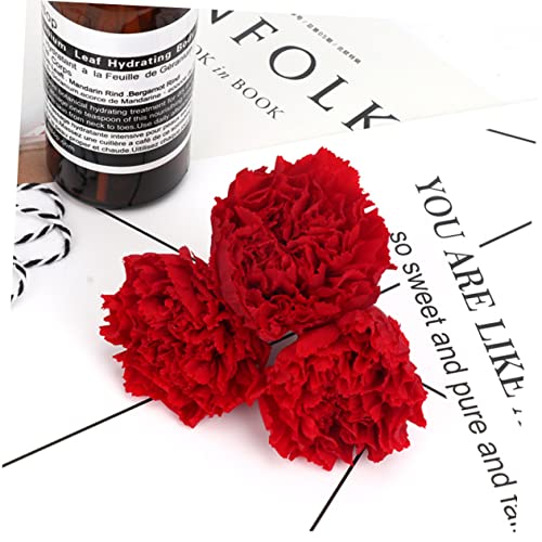 Zerodeko 2pcs Eternal Carnation Flores Secas para Ramo miniatura 7