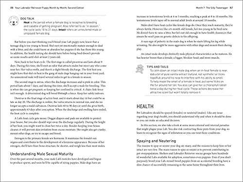 Your Labrador Retriever Puppy Month by Month, 2nd Edition: Everything You Need to Know at Each Stage of Development (Your Puppy Month by Month)