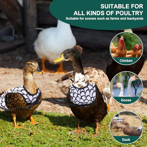 3 Stück Hühnersattel, Huhn Weste, Adjustierbarer Schutzschürze Wasserdicht Hühnerbekleidung, Atmungsaktive Verschleißfester Hühnersattelschürze, für Geflügelstall und Hühnerhaltung