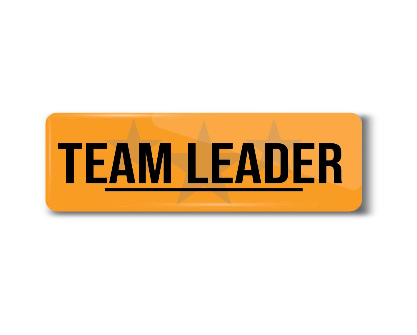 PEACOCKRIDE Team Leader I School I College I Office I Rectangular Pin Badge (Multicolor, Plastic, 6.8X2.4 Cm)