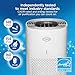 Clorox Air Purifiers for Home, True HEPA Filter, Medium Rooms Up to 1,000 Sq Ft, Removes 99.9% of Mold, Viruses, Wildfire Smoke, Allergens, Pet Allergies, Dust, AUTO Mode, Whisper Quiet
