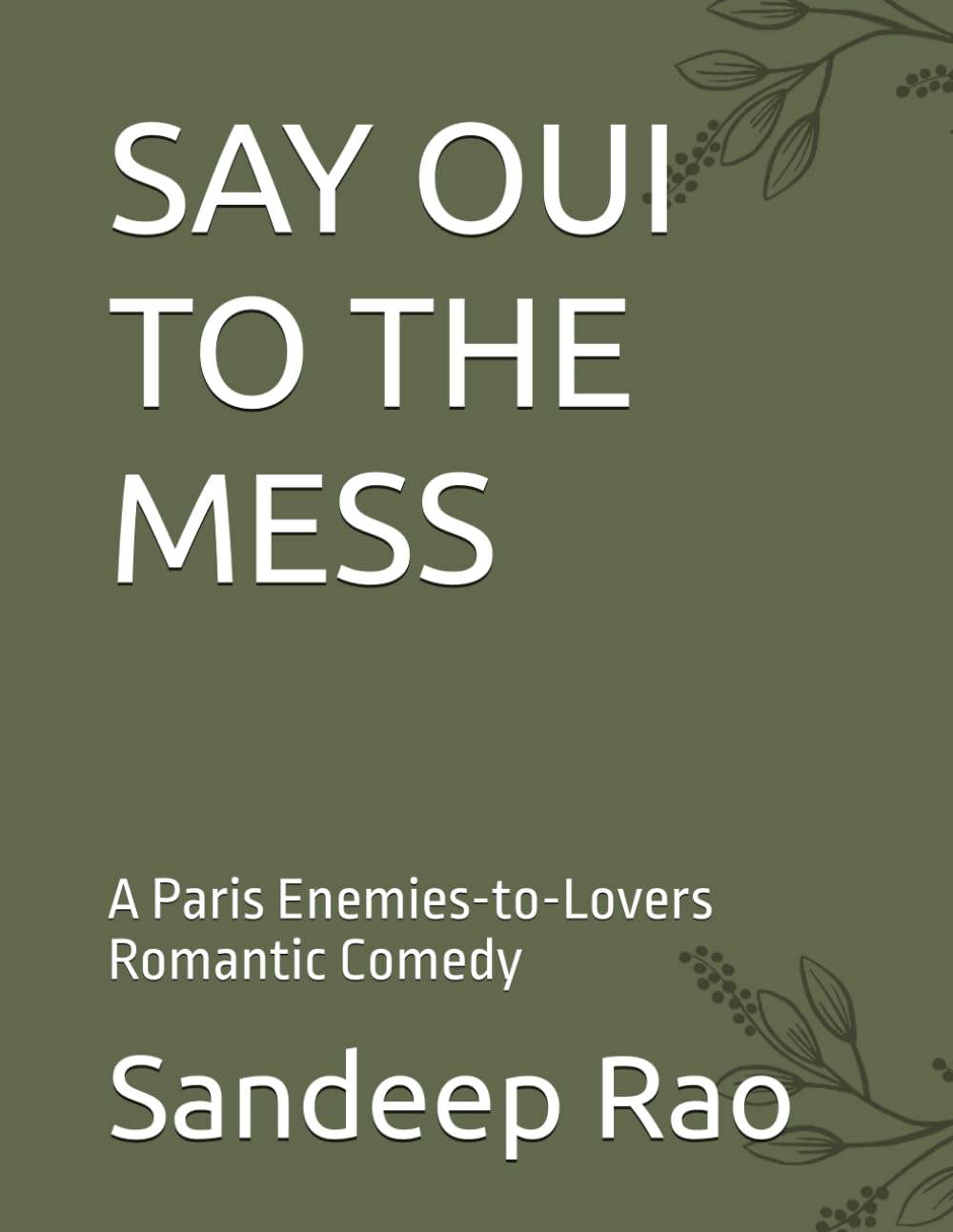 SAY OUI TO THE MESS: A Paris Enemies-to-Lovers Romantic Comedy