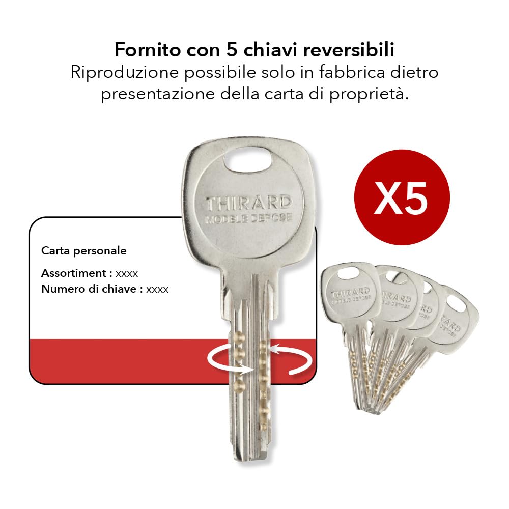 THIRARD - Cilindro Frizionato Transit 1 - Nichelato - Sicurezza Rinforzata - 6 Pistoncini - Anti-Scasso, Anti-Strappo - 30 x 80 mm - 5 Chiavi Reversibili Lunghe - Grigio | 5 chiavi reversibili incluse, alta sicurezza, finitura nichelata, facile da montare