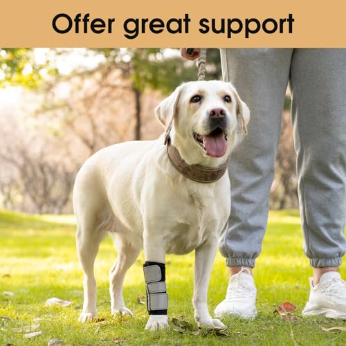 Image of Avont Dog Front Leg Brace, Wrist Compression Wrap Sleeve, Protects Wounds Prevents Licking Help Recover from Injuries Sprains and Arthritis -1 PCS(M)