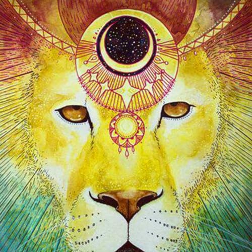 『Lions Gate 2023』のカバーアート