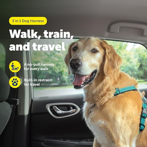 Image of PetSafe Teal 3-in-1 Harness, Large
