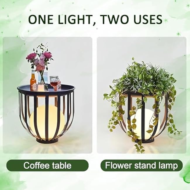 Solar LED Garden Lights (3 Lighting Modes) - IP65 Waterproof, 12H Runtime, Stainless Steel Pathway Lamp 3000K for Yard/Patio, Plant Stand & Landscape (21.3 x 21.7)