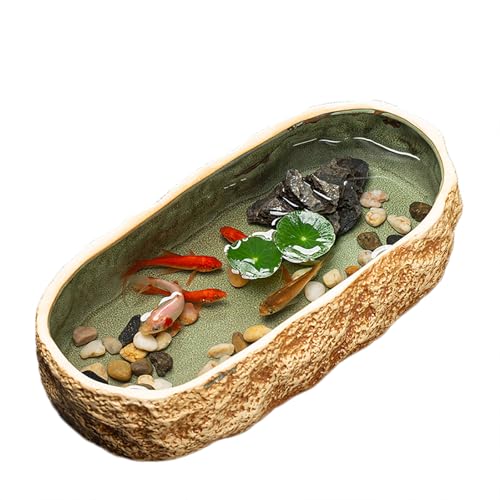    _J  _J @ kAؔA T  X̗t[^XRCOXO[J^cK[f^Aؔ  @  x_rO (X^C11)