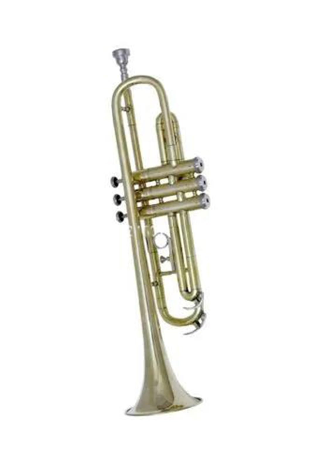 Zestaw instrumentów dętych blaszanych trąbka Profesjonalny Instrument W Postaci Trąbki Bb Z Mosiężnymi Instrumentami I Futerałem