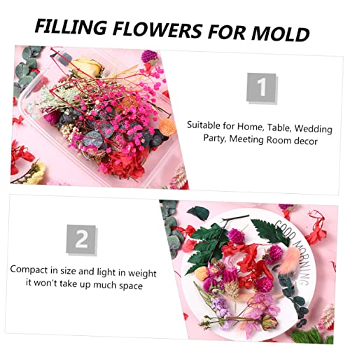 Materiales de Flores Secas para Manualidades DIY, 6 Cajas miniatura 6