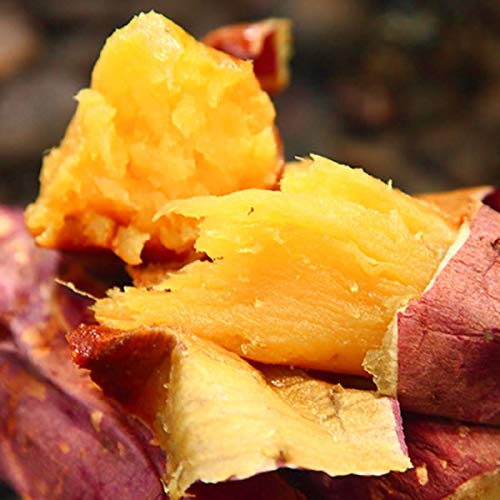 国産 紅はるか 焼き芋 ４本