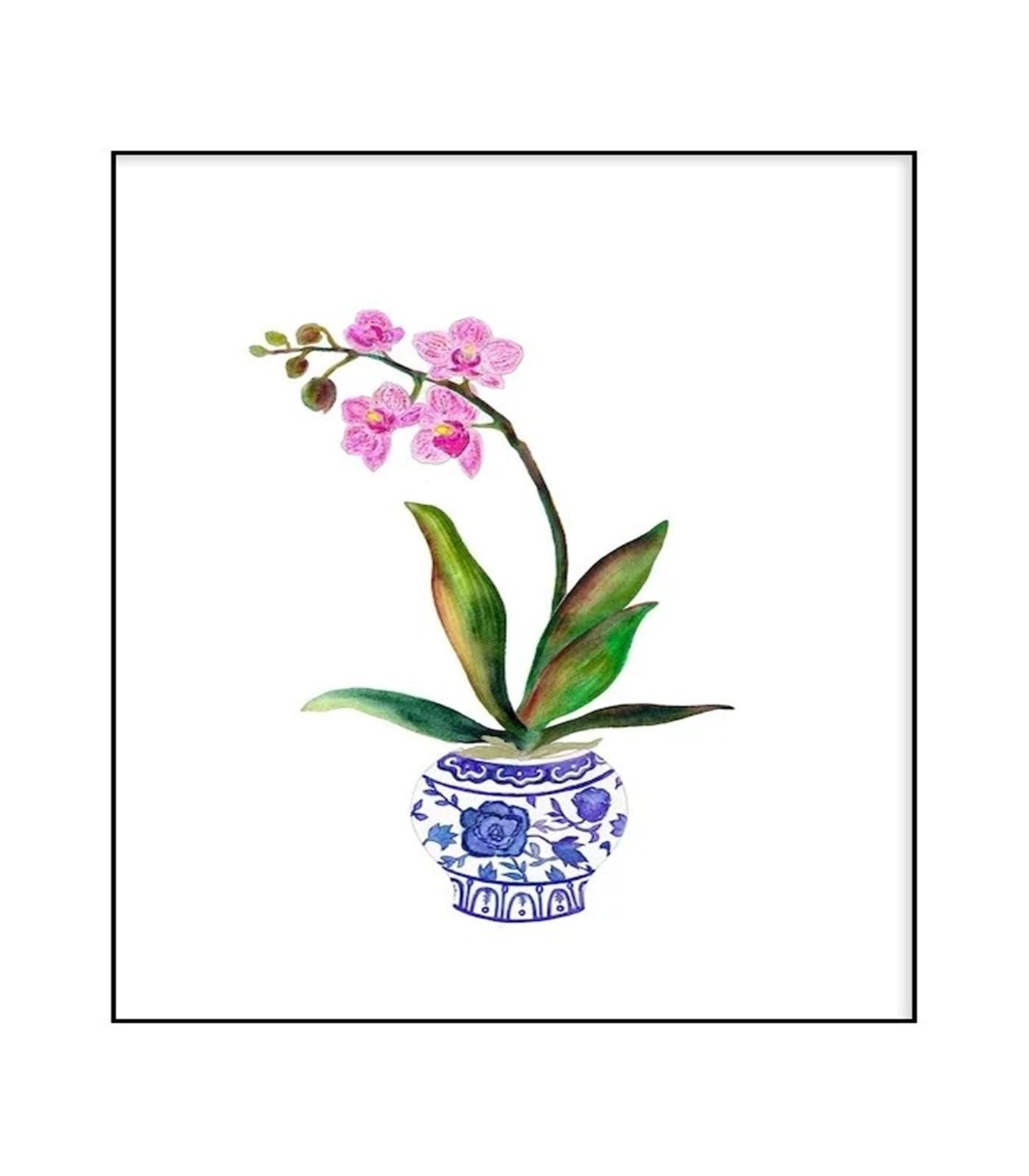 Xenite P Wall Art Canvas Rints Watercolor Flower Vase Floral Lant Wall Art Canvas Ainting Nordic Osters For Living Room Home Decor(,50X70cm)