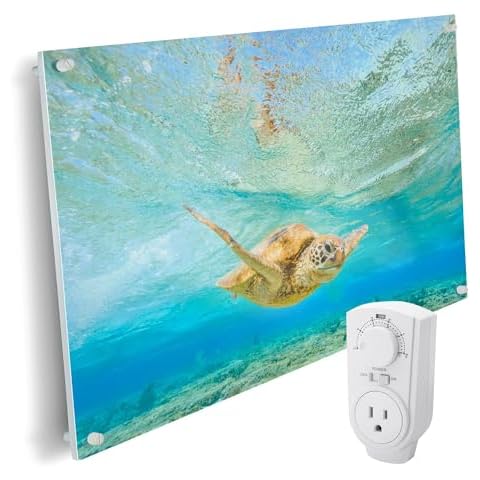 EconoHome Wall Mount Space Heater Panel - with Thermostat - 600 Watt Convection Heater - Ideal for 200 Sq Ft Room - 120V Electric Heater Cover