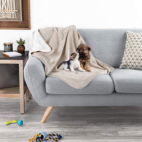 Best Waterproof Blanket For Dogs