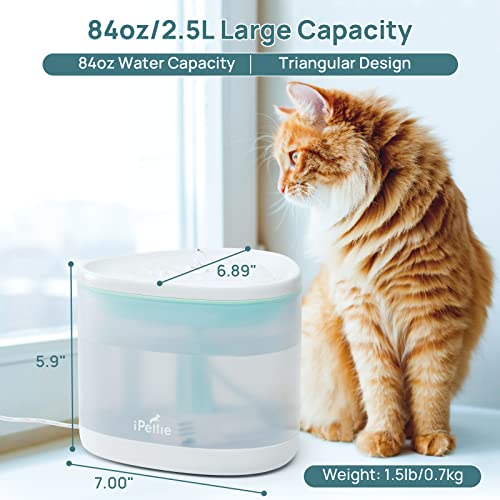 Ipettie Triangle Cat Water Fountain, 84Oz/2.5L Ultra Quiet Cat Drinking Fountain With 5 Stage Circulating Filter, Bpa-Free, Automatic Pet Water Fountain For Cats, Small Dogs, Pets #TOP5