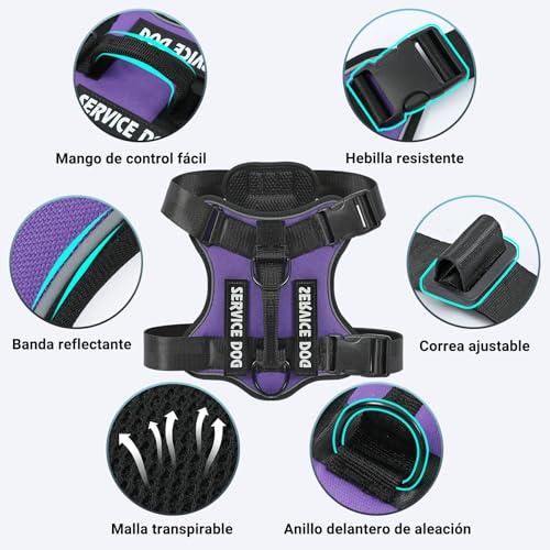 COMSLE Arnes Perro Grande Mediano Pequeño sin Tirones, Arnes Antitirones Antiescape Perro Ajustable Reflectante, Peitoral para Cão Transpirable, Violeta, XS - imagen 2