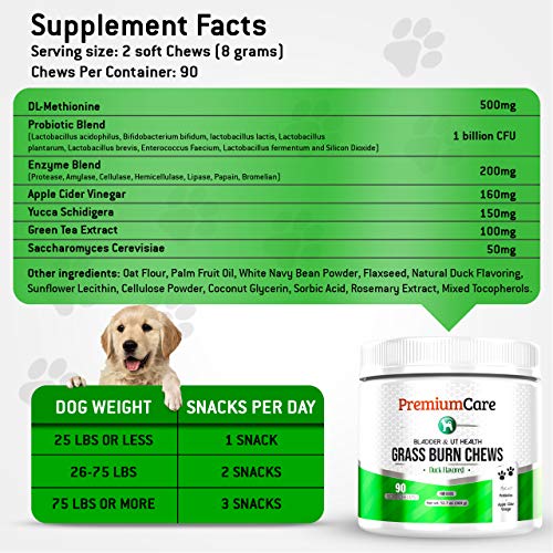 Buy PREMIUM CARE Grass Burn Spot Chews for Dogs Made in USA Vet