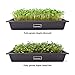 HAMAMA Microgreens Growing Kit Broccoli & Salad - Indoor Sprouts Mat - Seed Quilts Easy Setup Pack of 2 - Plastic Tray
