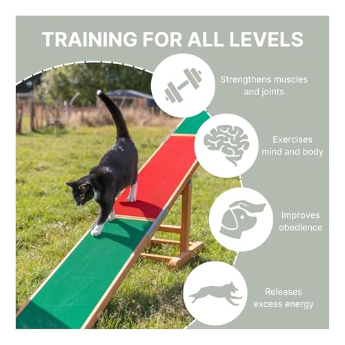 TRIXIE Dog Activity Agility Wippe