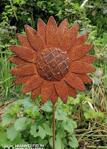 NEU !! Gartenstecker Sonnenblume 80 cm lang aus Metall in Edelrost...