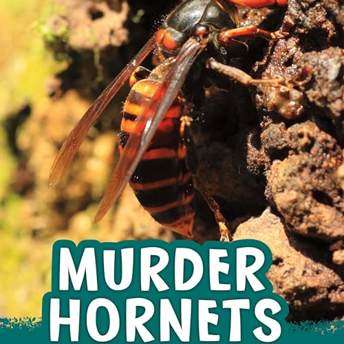 Murder Hornets by Jaclyn Jaycox episode artwork