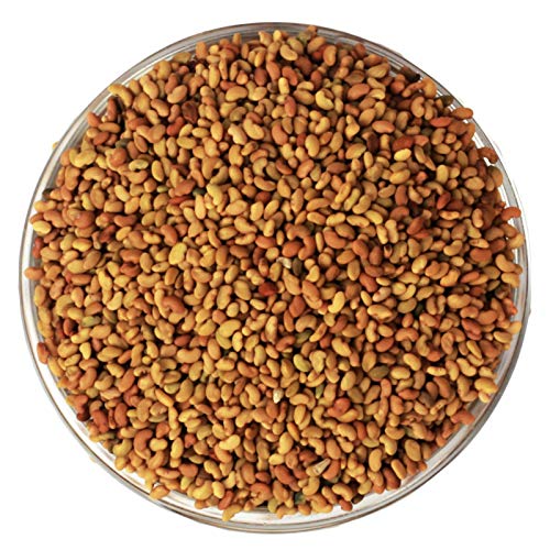 SriSatymev Alfalfa Seeds (100g) | Rajko