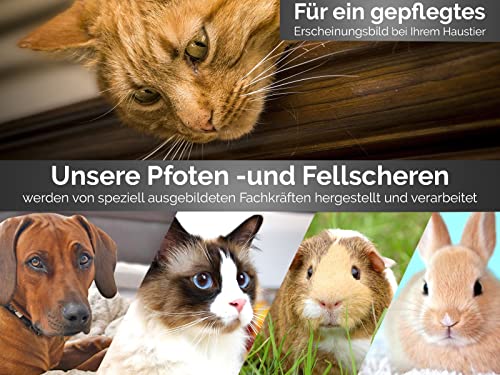 Pfotenschere Hunde Fellscheren Set Scharfe Schnittflächen 2 abgerundete Scheren 9 cm aus Edelstahl für eine perfekte Fellpflege