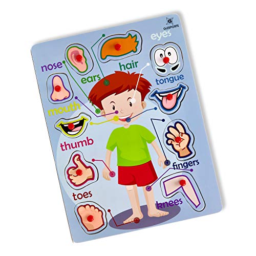 Wooden Peg Puzzle, My Body - Outside - Learning Educational Pegged Puzzle for Toddler & Kids (10 pcs) Gleeporte - Thumbnail 4