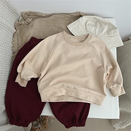 Generic Toddler Boys Girls Solid Soft Cotton Thin Sweatshirt Pullover Long Sleeve Crewneck top fall winter (A-Khaki, 3-4 Years)3