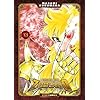 I cavalieri dello zodiaco. Saint Seiya. Final edition (Vol. 13)