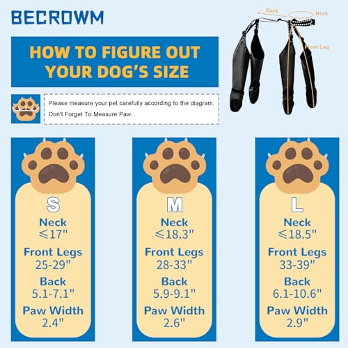 BECROWM wasserdichte Hundestiefel, Hundepfotenschutz für kleine bis mittelgroße Hunde, verstellbare Schuhe für Haustiere zum Gassi gehen, weiche Schuhe für Haustiere, Pfotenschutz (Schwarz, Mittel)