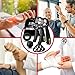 FitBeast Handtrainer Trainingsset (5-teilig), 2 Unterarmgriff Einstellbare Widerstand Handgreifer, Fingerdehner, Griffball & Stressabbau-Griffball für Athleten