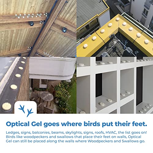 image for Bird Barrier Optical Gel Bird Deterrent – 200 Pack Bird Gel – Dete