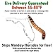 Superworm 200 Live (Large)-Bulk and Organic from Florida