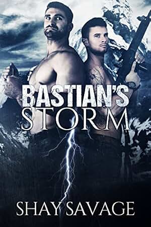Bastian's Storm: Surviving Raine Book 2 (English Edition)