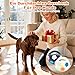 BSOON The Mellow Dog Calming Ball, Anti Stress Ball Hund, Hundeball mit Handle, Antistressball Hund, Interaktives Hundespielzeug Balls, für kleine, mittelgroße und große Hunde (Weiß)
