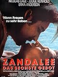 Zandalee - Das sechste Gebot - Nicolas Cage - Filmposter A1 