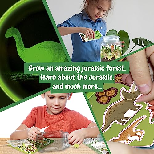 Science4you Grow and Glow Dinosaur Terrarium Kit for Kids - Make Your Own DIY Dinosaur Habitat Ecosystem, Glow in The Dark Mini Terrarium + Plant Growing Kit for Boys and Girls Ages 6 7 8 9+ - Image 6