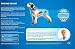 Aqua Coolkeeper Pacific Hundehalsband mit Frischefunktion, blau