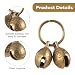 LXUEJIE 2 Stück Laute Hundeglocken, Messingglocken Glocken für Katzen und Hunde Ortungsglocke Vintage Hundeglocke Kleine Glocke Halsband Anhänger für Haustiere Trainieren Heimtürdekoration