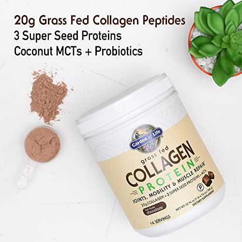 Garden Of Life Grass Fed Collagen Protein Powder - Chocolate, 14 Servings, Collagen Powder For Joints Mobility Muscle Repair, Collagen Peptides Super Seeds Coconut Mcts, Keto Collagen Supplements #TOP2