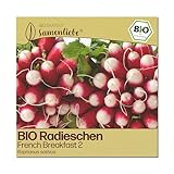 Samenliebe BIO Radieschen Samen | French Breakfast 2 - mild & lang - samenfestes BIO Saatgut