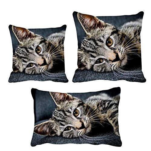 Housse de coussin rayures de chat decoration canape salon textile maison - 2