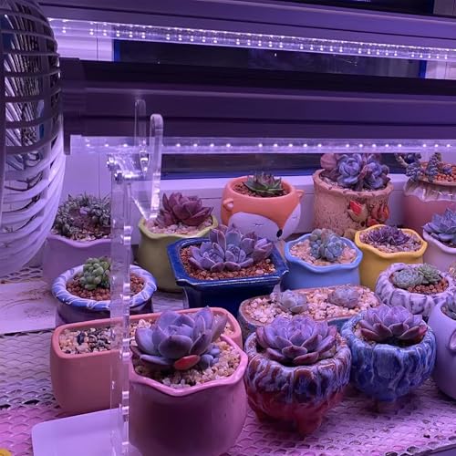 Support de lampe de croissance robuste en acrylique transparent pour fixation de plante - 5