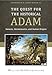 The Quest for the Historical Adam: Genesis, Hermeneutics, and Human Origins