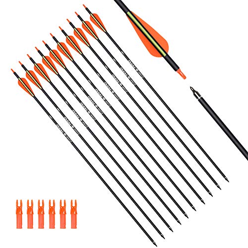 Hunter Ian Archery Carbon Arrow Hunting Arrows 28 Inch With 100 Grian Removable Tips For Compound Bow & Recurve Bow Practice Shooting (Pack Of 12) #TOP4