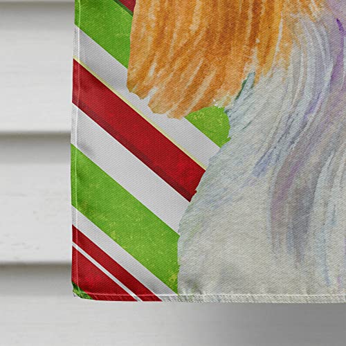 Drapeau Cavalier Spaniel imprimé double face en toile canevas résistante