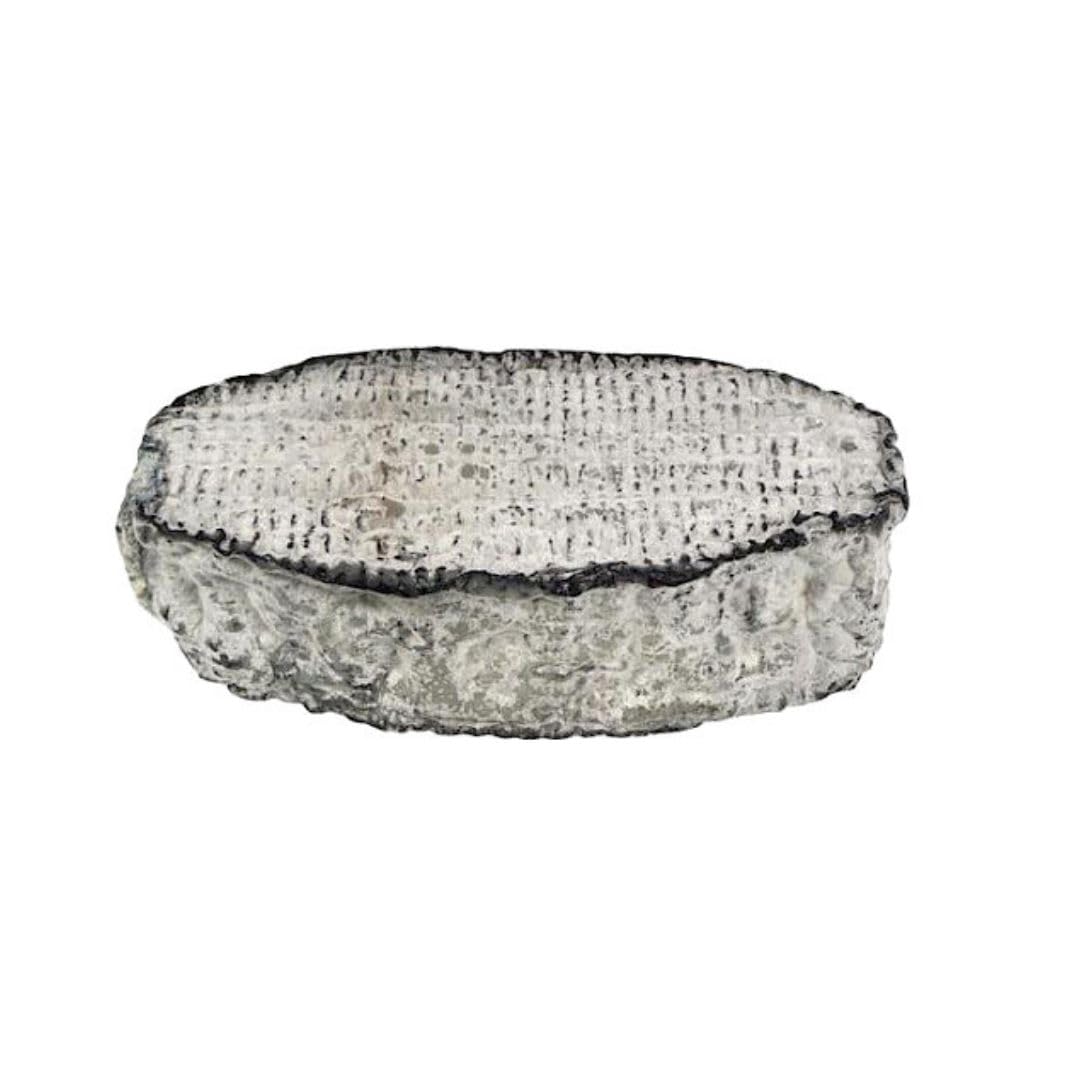 Il Salumiere dal 1978 Queso Francés Ovalie Cendree MonS gr.150 - Sazonado - Producción artesanal láctea - Seleccionado por El Salumiere 1978